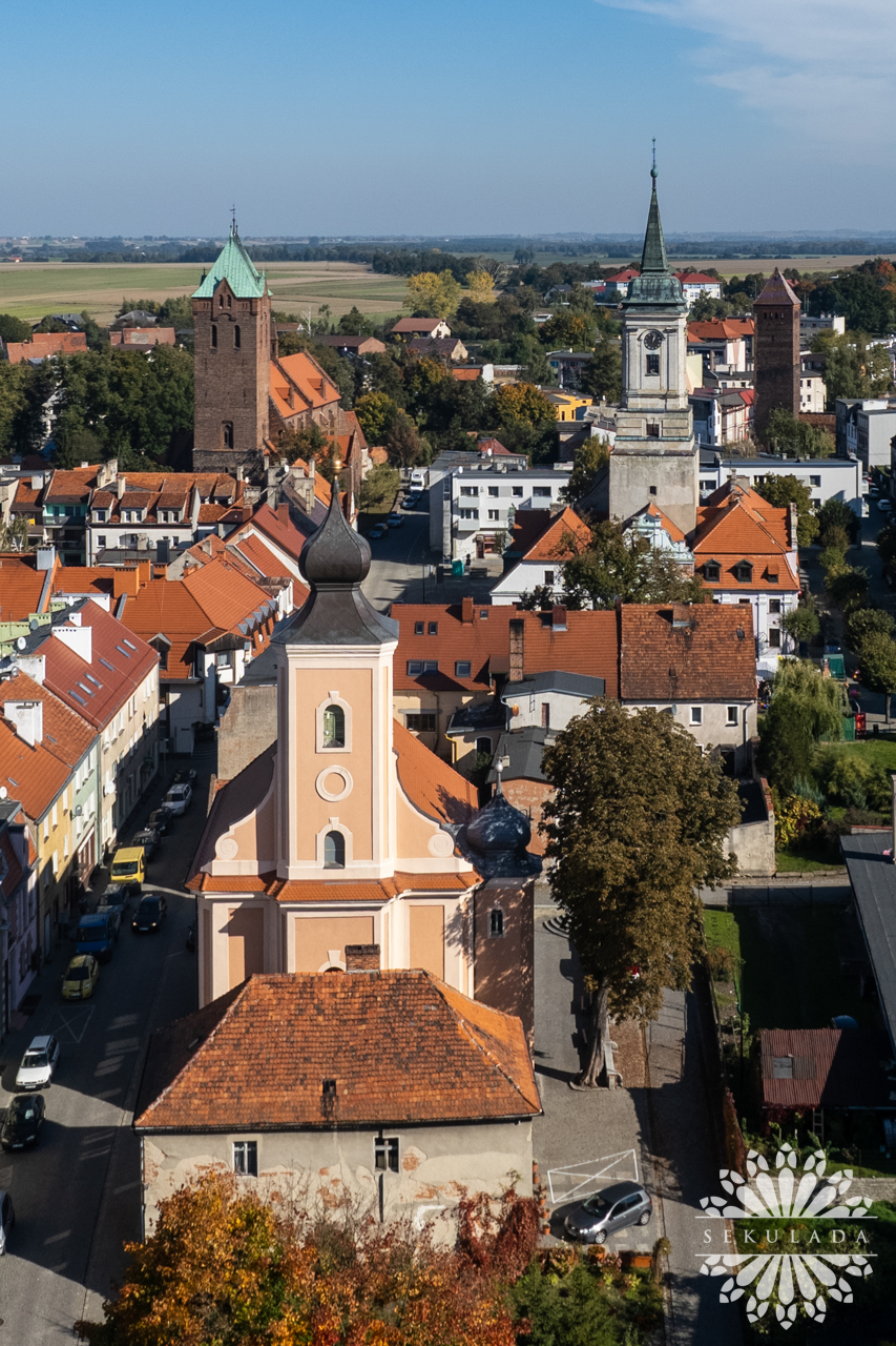 Byczyna W Pier Cieniu Ceglanych Mur W Sekulada