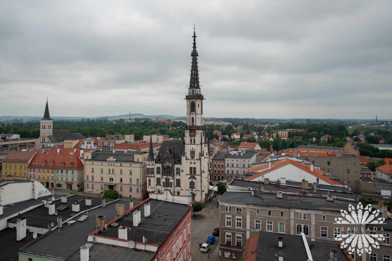 Ząbkowice Śląskie. Frankenstein, historia prawdziwa?