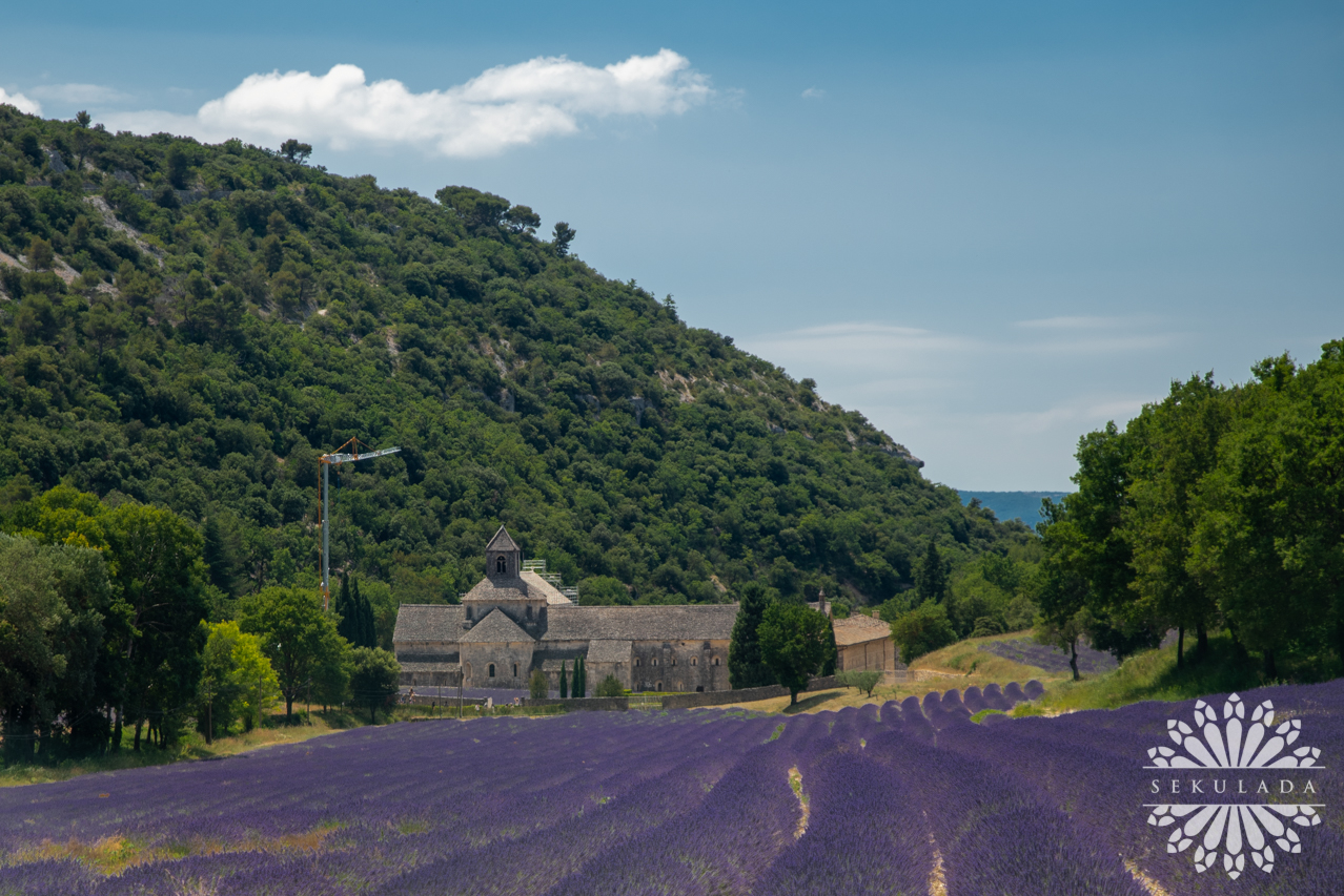 Opactwo Senanque (fr. Abbaye Notre-Dame de Sénanque); Prowansja-Alpy-Lazurowe Wybrzeże; Francja.